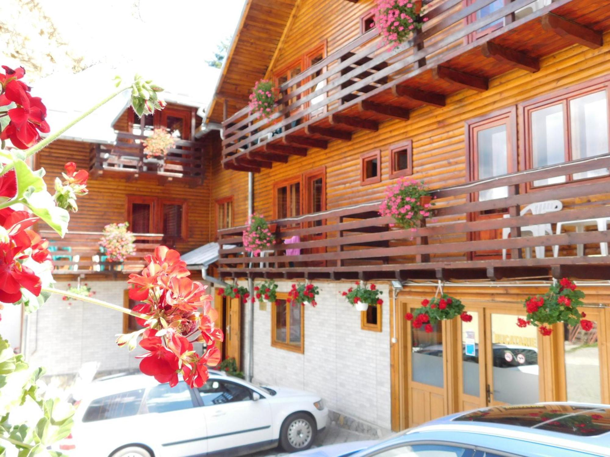 Hotel La Cristina à Sinaia Extérieur photo